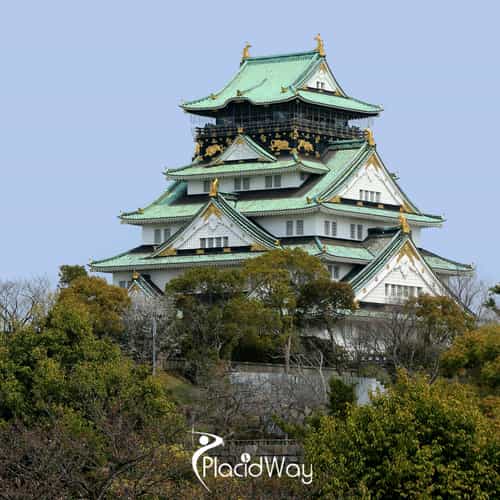 Osaka Set to Lead as the Premier Hub for International Patients Seeking Bio-Regulated Stem Cell Treatments for Chronic Conditions